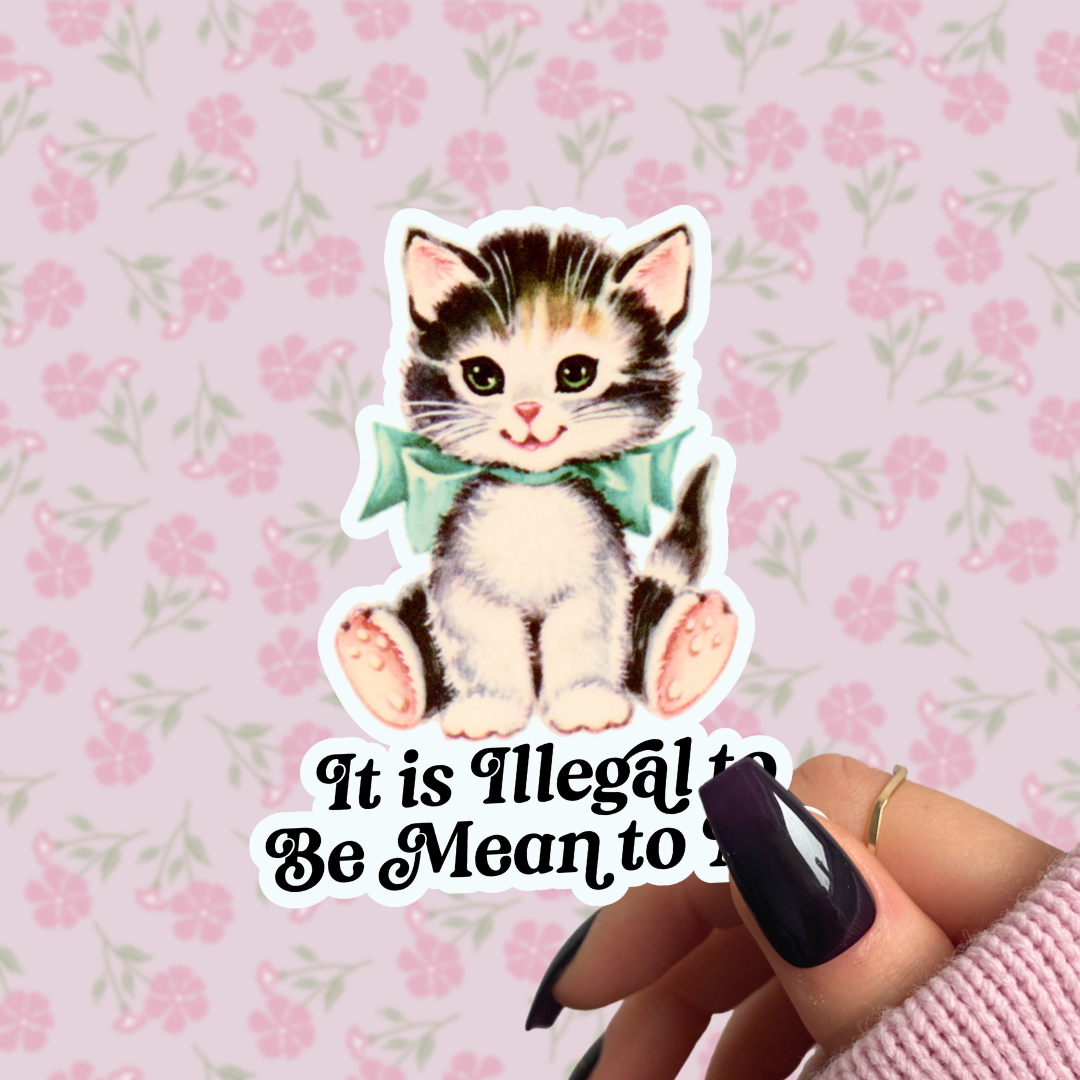 It Is Illegal to Be Mean to Me