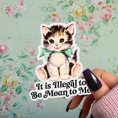 It Is Illegal to Be Mean to Me