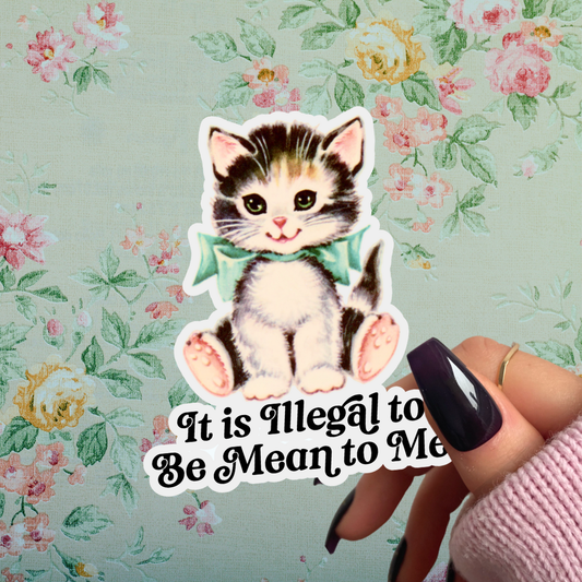 It Is Illegal to Be Mean to Me